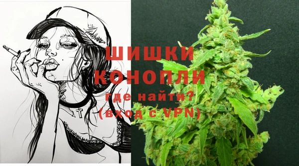 стаф Абаза