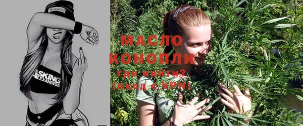 таблы Няндома
