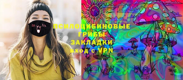 таблы Няндома