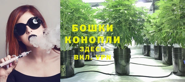 таблы Няндома