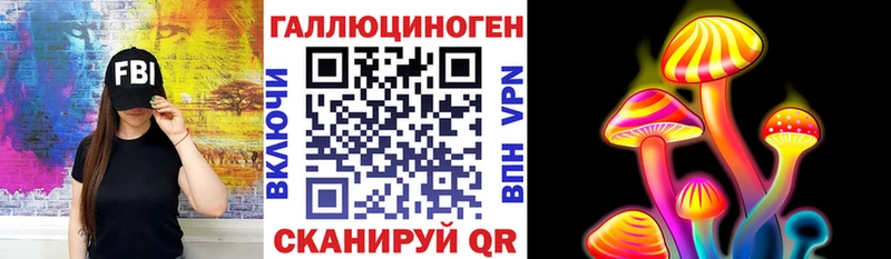 Галлюциногенные грибы Psilocybine cubensis  Адыгейск 
